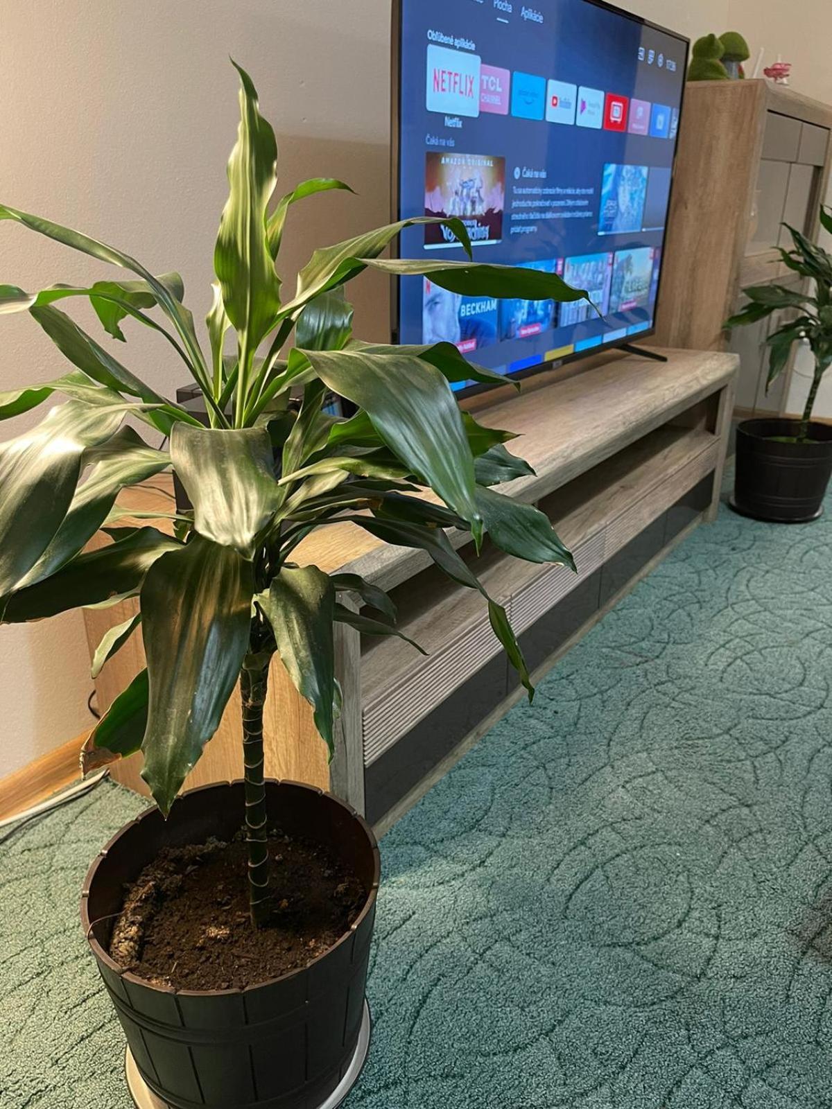 Velky Apartman Bratysława Zewnętrze zdjęcie